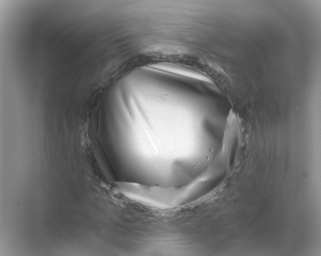 X0000068300965200605122000