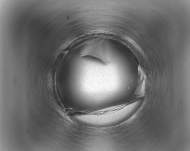 X0000068300969200605121959