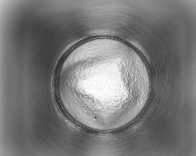 X0000068300983200605121959