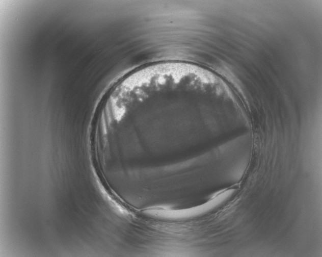 X0000068300995200605121959