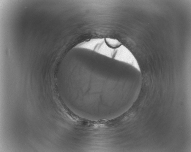 X0000068301009200605121958