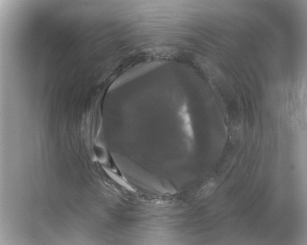 X0000068301010200605121958