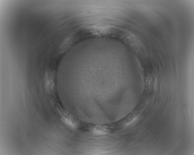 X0000068301012200605121958