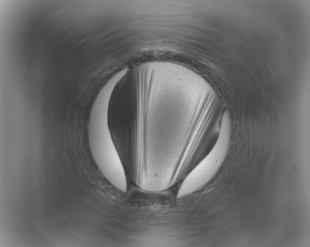 X0000068301014200605121958