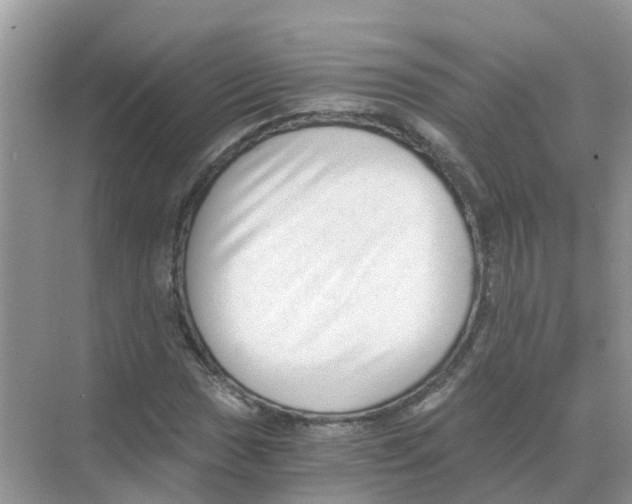 X0000068301017200605121958
