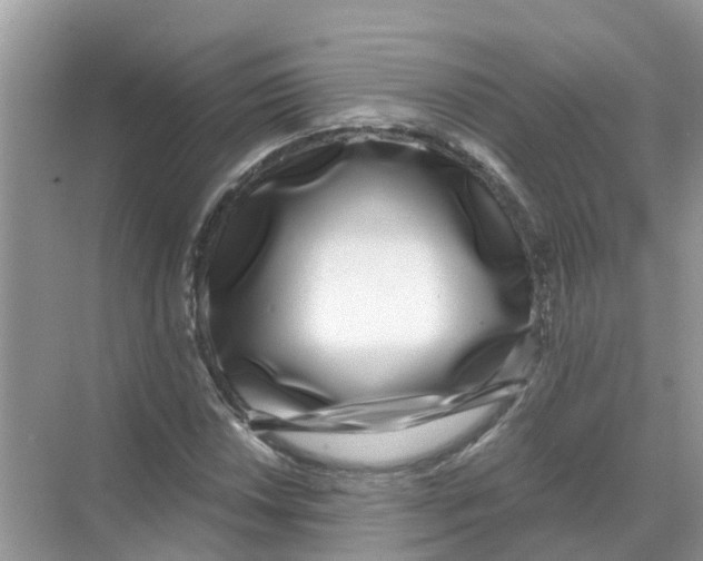 X0000068301018200605121958