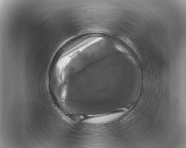 X0000068301024200605121958