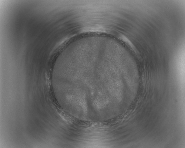 X0000068301064200605121958