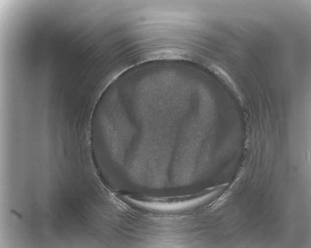 X0000068301081200605121958