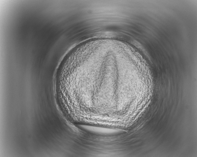 X0000068301083200605121958