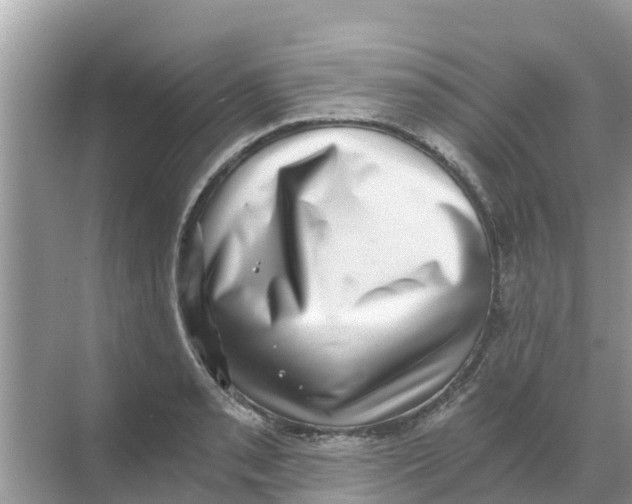 X0000068301085200605121958