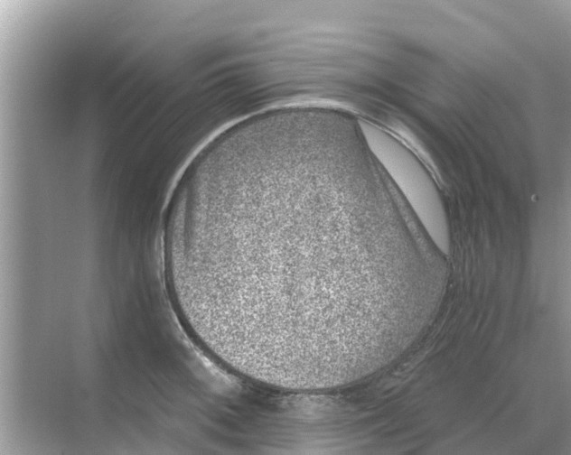 X0000068301092200605121957