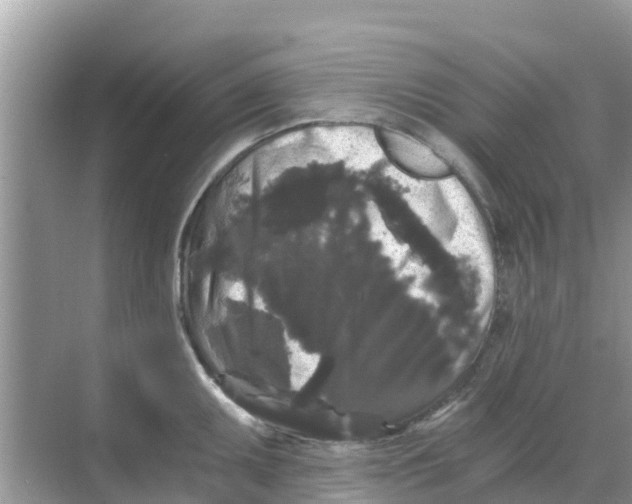 X0000068301095200605121957