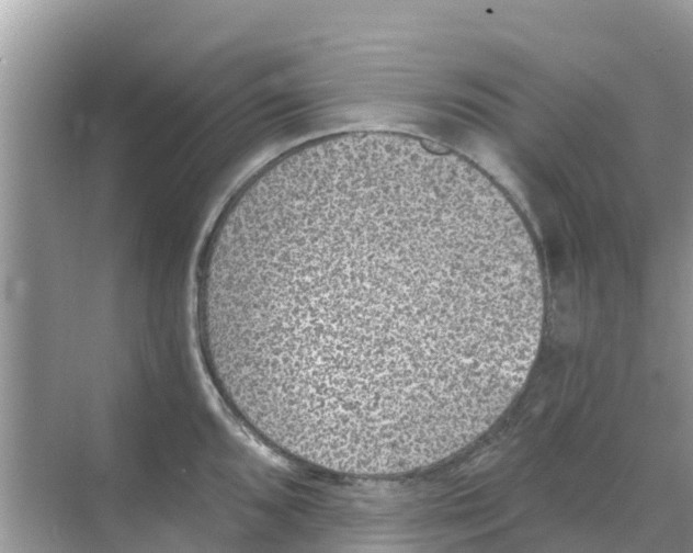 X0000068301096200605121957