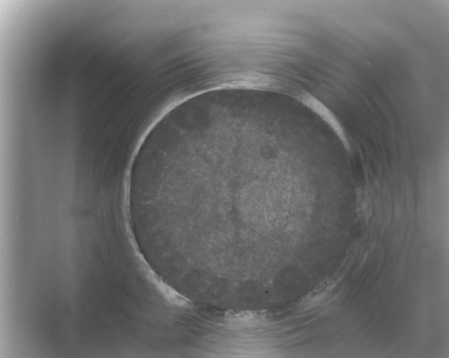 X0000068301099200605121957