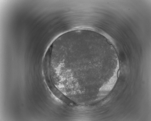 X0000068301102200605121957