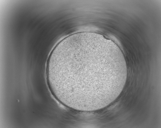 X0000068301103200605121957