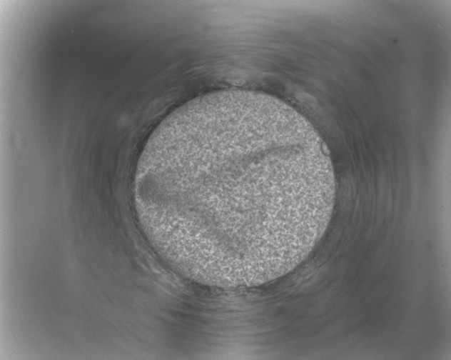 X0000068301105200605121956