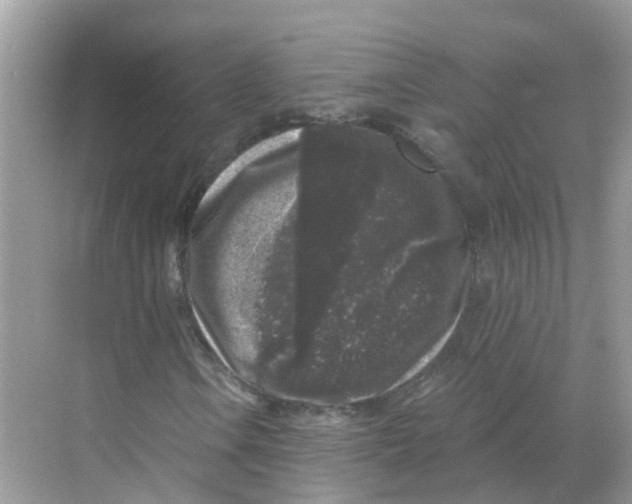 X0000068301106200605121956