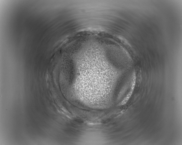 X0000068301110200605121956