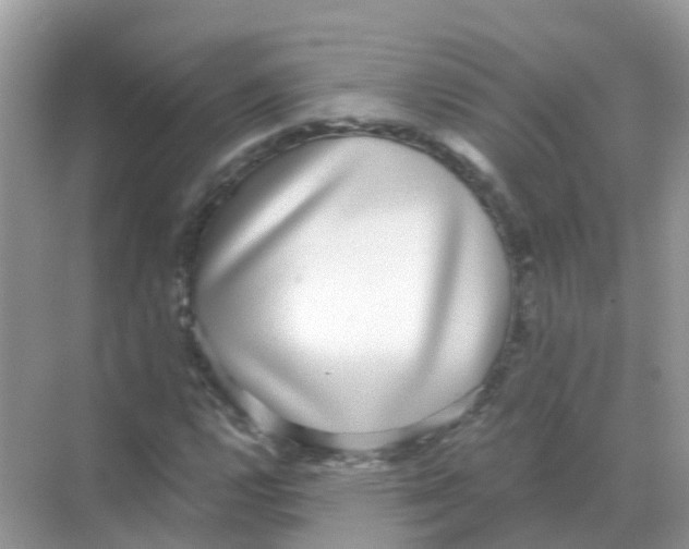 X0000068301112200605121957