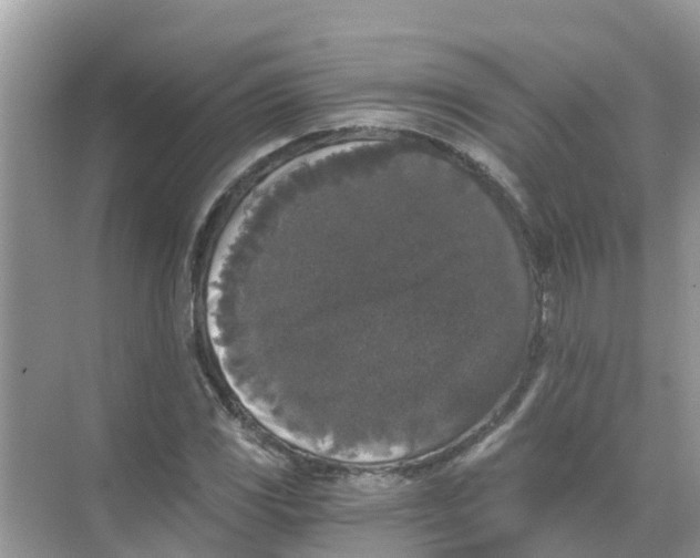 X0000068301117200605121957