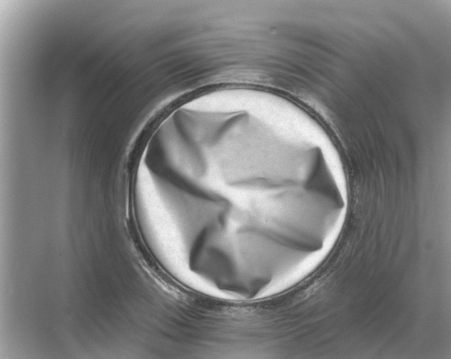 X0000068301123200605121957