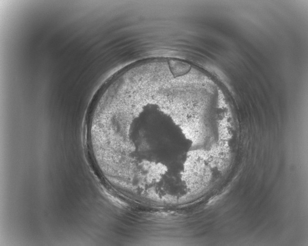 X0000068301125200605121957