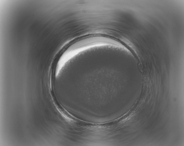 X0000068301127200605121957