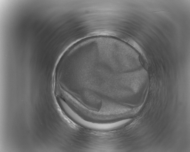 X0000068301132200605121957