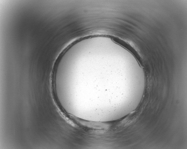 X0000068301134200605121957