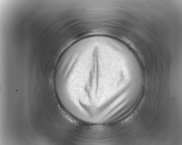 X0000068301137200605121957