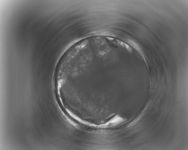 X0000068301141200605121957