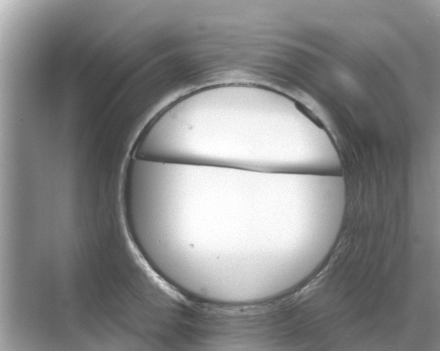 X0000068301142200605121957