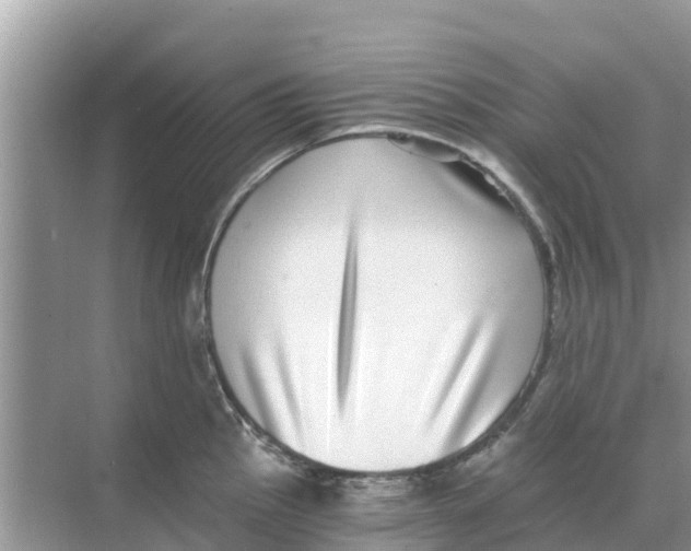 X0000068301145200605121957