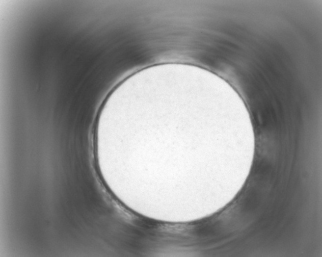 X0000068301150200605121957