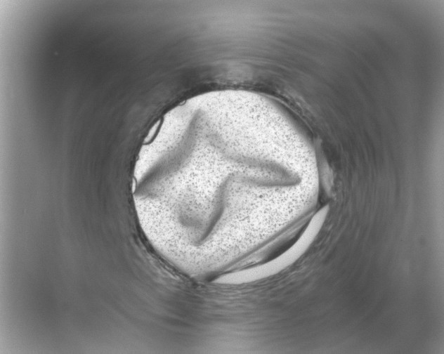 X0000068301153200605121956