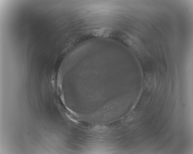 X0000068301154200605121956