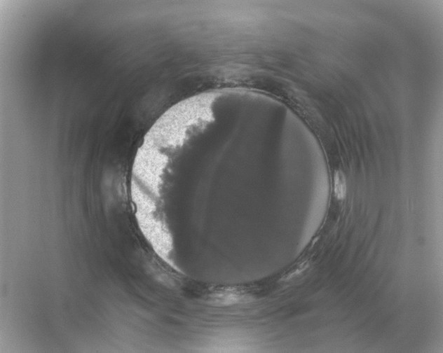 X0000068301155200605121956