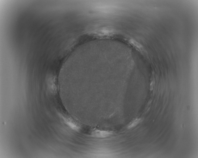 X0000068301156200605121956