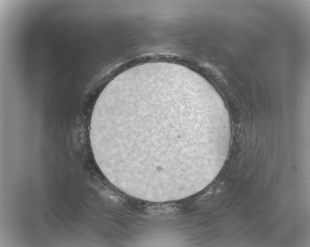 X0000068301159200605121956