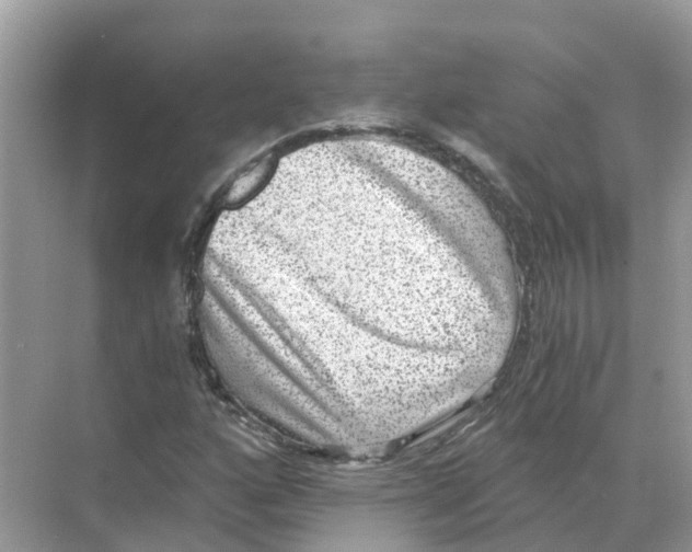 X0000068301160200605121956