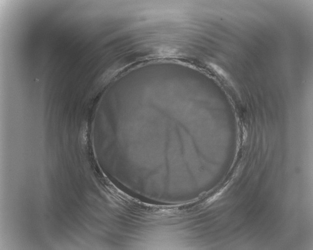 X0000068301161200605121956