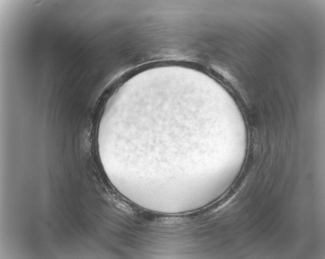 X0000068301163200605121956