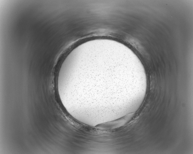 X0000068301164200605121956