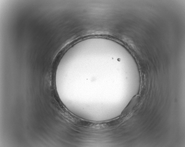 X0000068301165200605121956