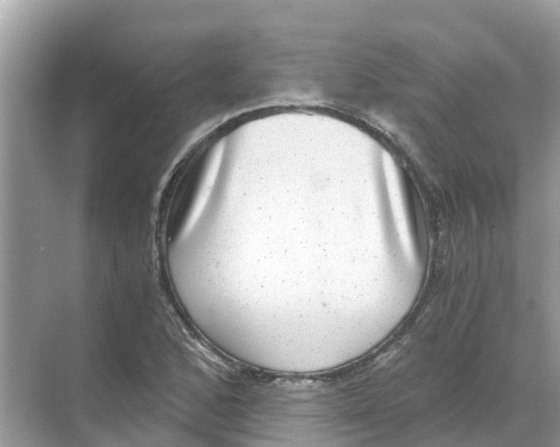 X0000068301168200605121956