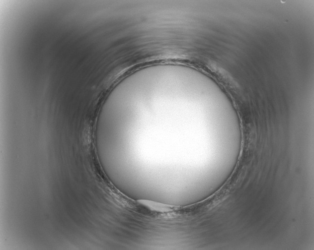 X0000068301169200605121956