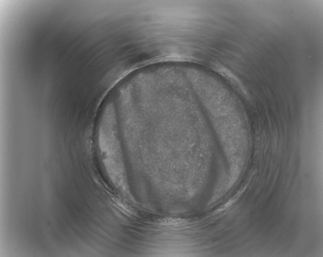 X0000068301170200605121956