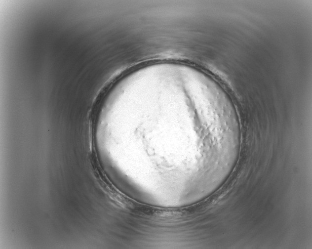 X0000068301171200605121956